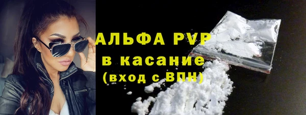 дмт Ельня