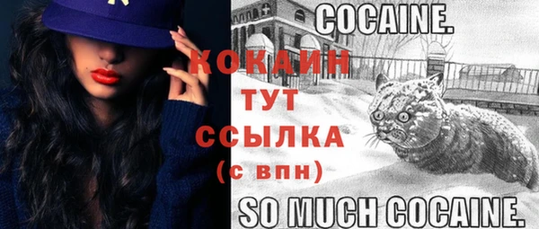 гашик Лихославль